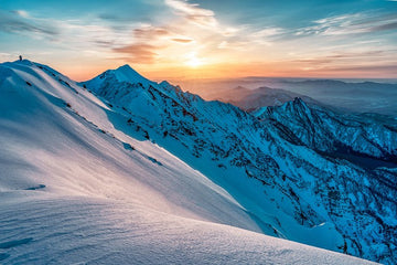 The Bluebird Days